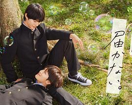 成都网站seo优化